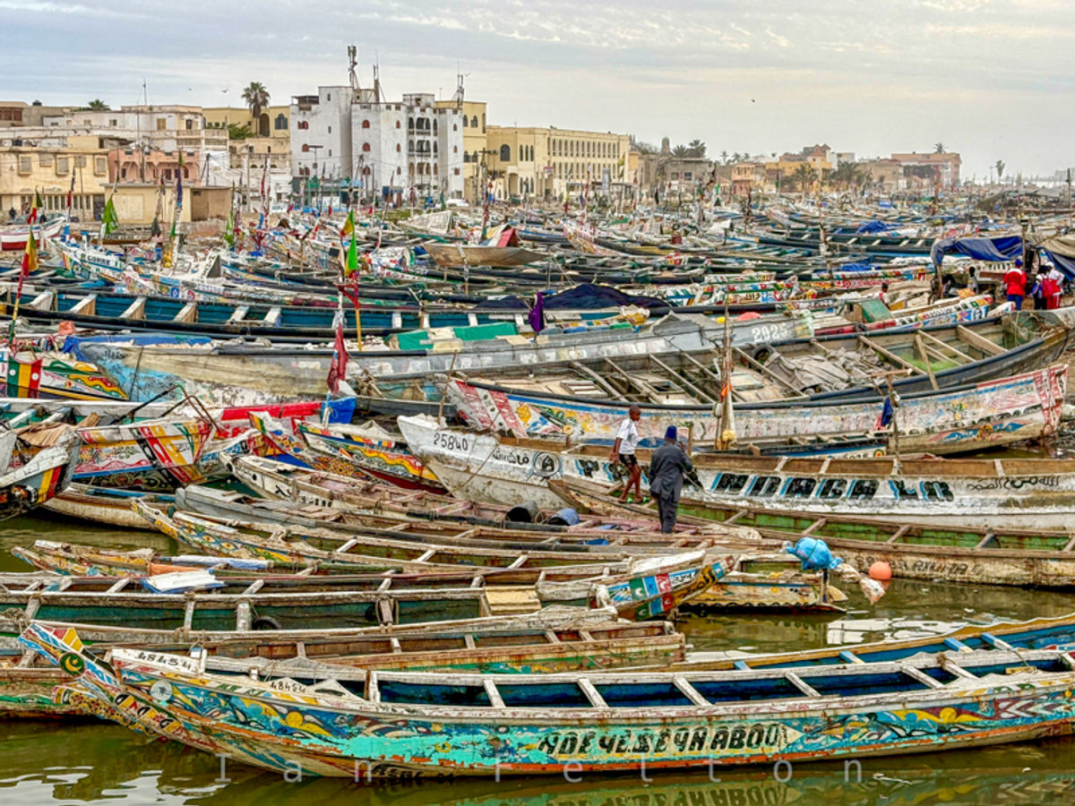 The boats along Guet N'Dar, Saint-Louis, Senegal