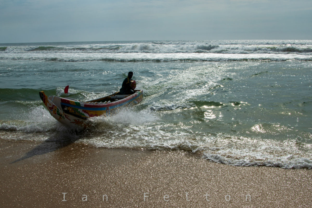 The fishing boat coming in with a catch