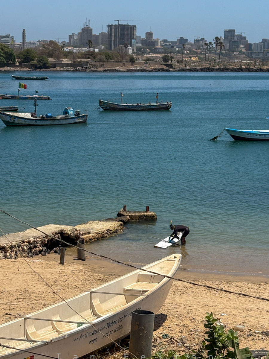 A local getting ready to paddle board