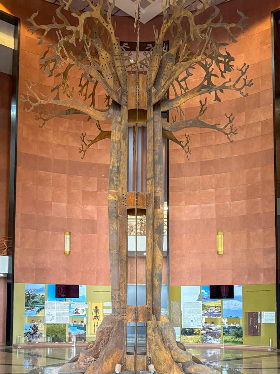 The baobab art in the center of the museum